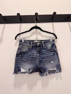 Risen Jane High Rise Distressed Washed Side Hem Shorts
