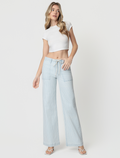 High Rise Drawstring Elastic WB Striped Wide Jeans